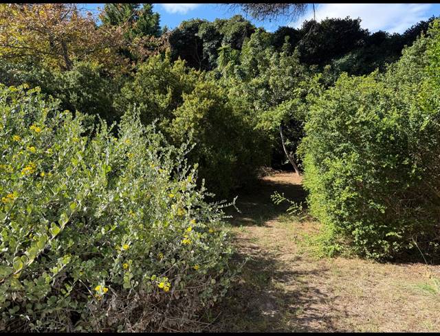 546M² VACANT LAND FOR SALE IN CONSTANTIA